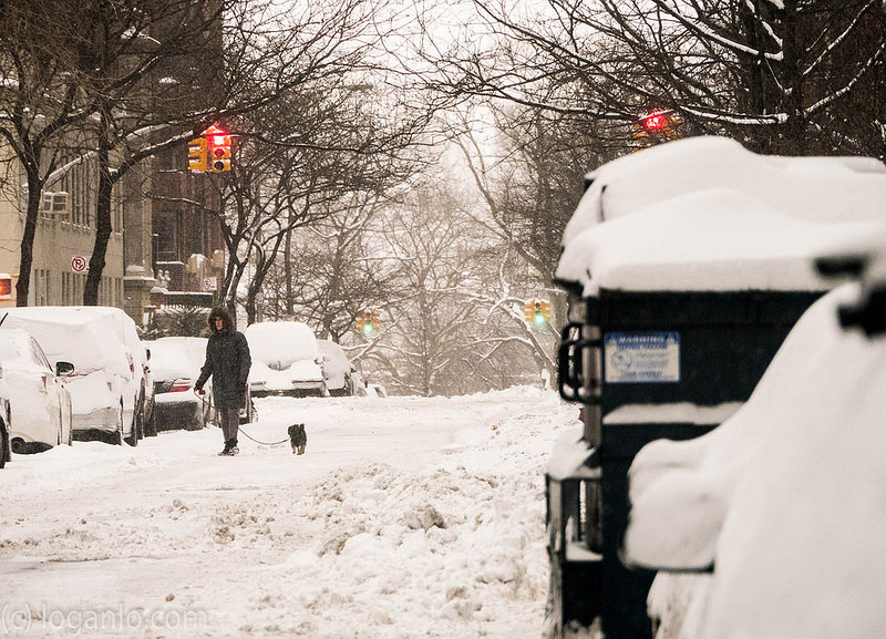 Woman walking dog in snow in UWS, NYC